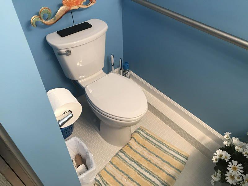 toilet and support bar
